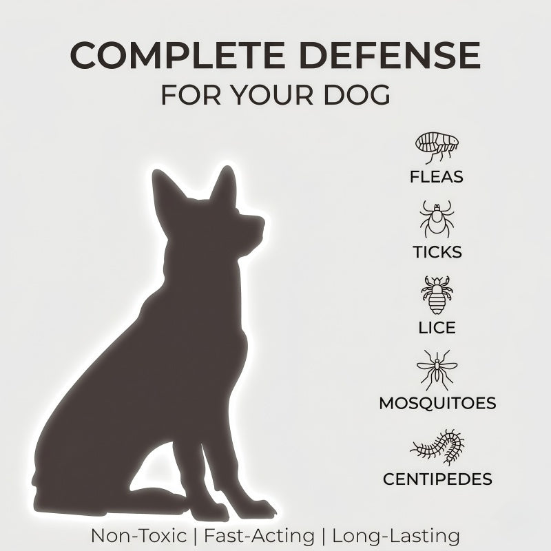 Adjustable Flea and Tick Collar for Dogs & Cats - Waterproof TPR Pet Pest Protection Collar
