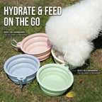 Collapsible Silicone Pet Dog Bowl with Carabiner Clip - Portable Travel Water & Food Feeder for Small & Medium Dogs